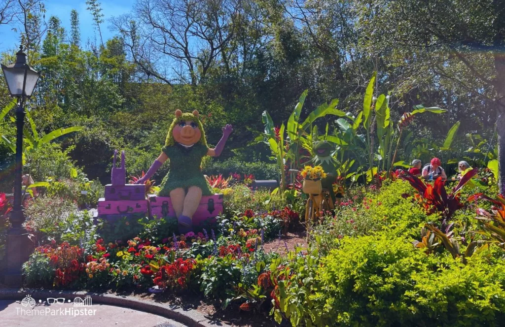 Epcot Flower and Garden Festival 2024 Miss Piggy Topiary in Moroccan Pavilion. Keep reading to see what is new for the Epcot Flower and Garden Festival.