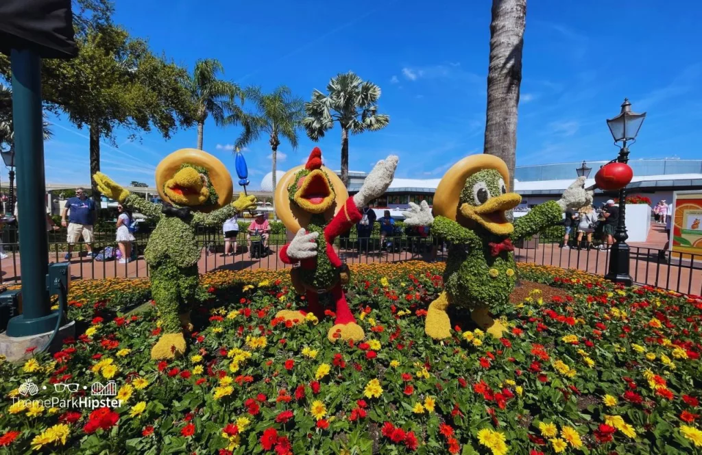 Epcot Flower and Garden Festival Three Caballeros Topiary with Donald Duck Jose and Panchito. Keep reading to get the world rides at Epcot for solo travelers on a solo disney world trip.