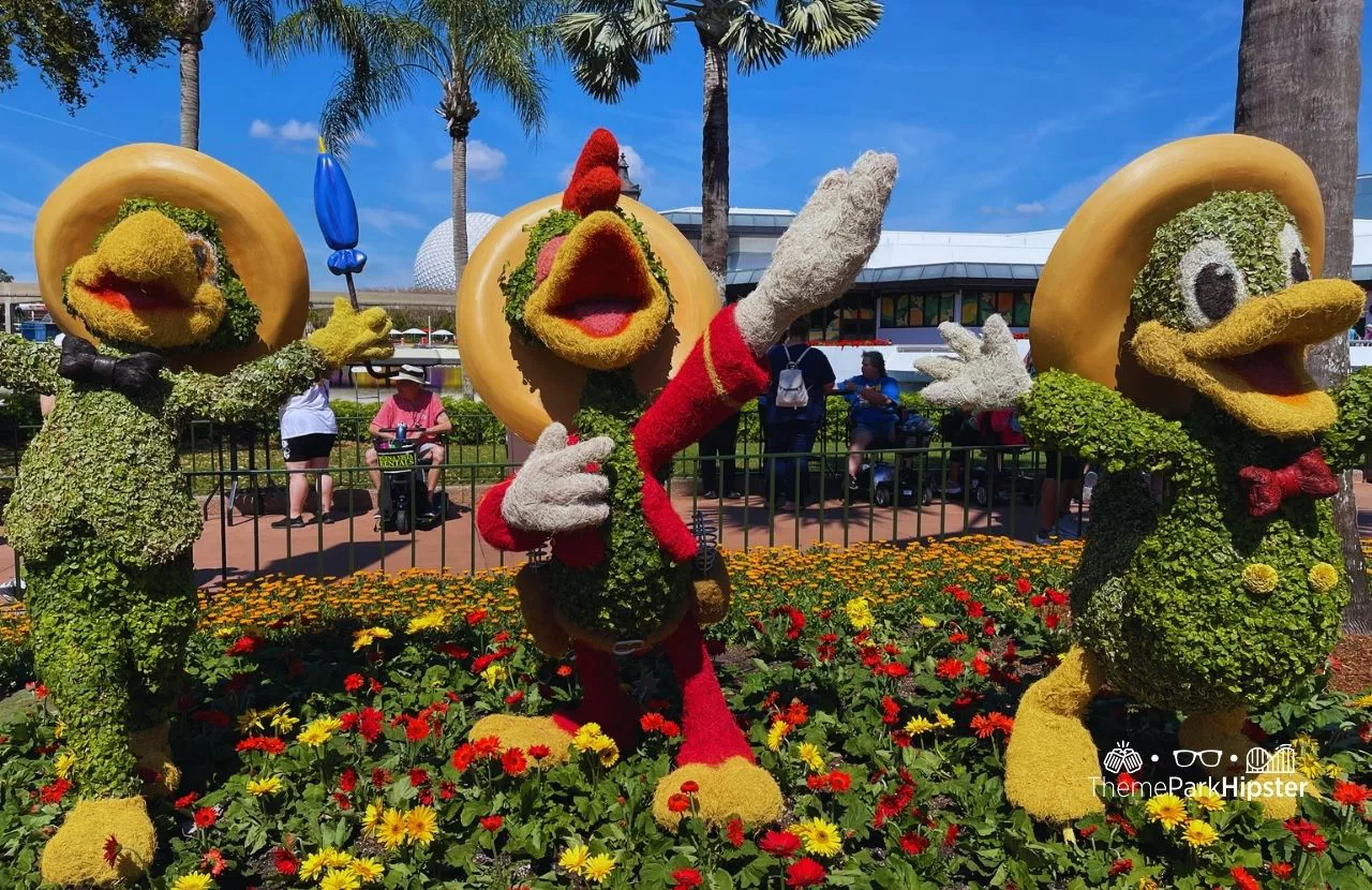 Epcot Flower and Garden Festival 2024 Three Caballeros Topiary with Donald Duck with Panchito and Jose