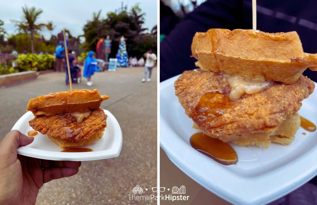 SeaWorld Orlando Christmas Celebration Waffle Wonderland Chicken and Waffles drizzled with hot honey syrup. Keep reading if you want to learn more about the best food at SeaWorld Orlando Christmas Celebration.