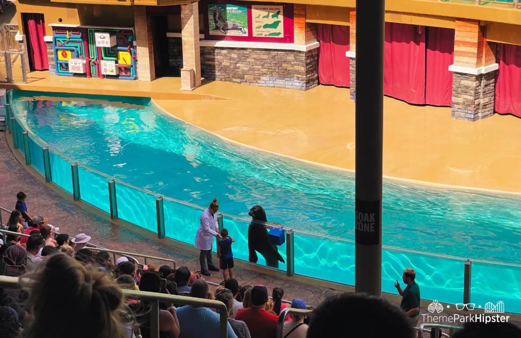 SeaWorld Orlando Resort Sea Lion and Otter Show at Pacific Point