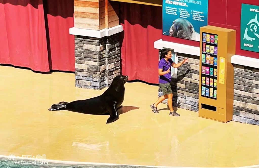 SeaWorld Orlando Resort Sea Lion and Otter Show at Pacific Point