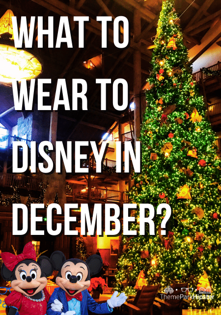 Full Guide to what to pack and what to wear to Disney 
World in December for your packing list.