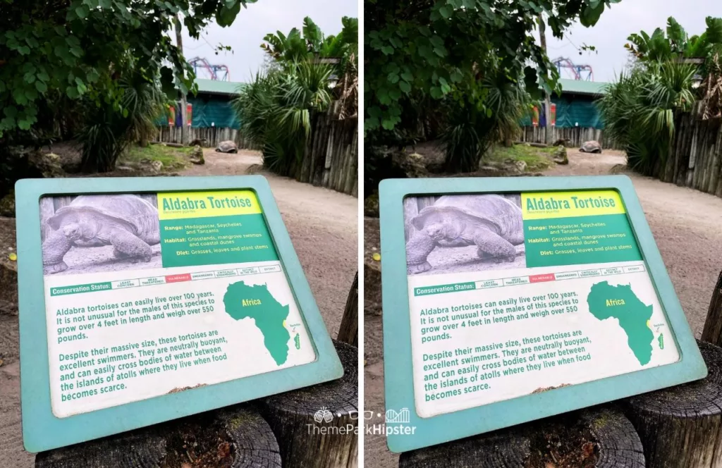 Busch Gardens Tampa Bay Aldabra Tortoise