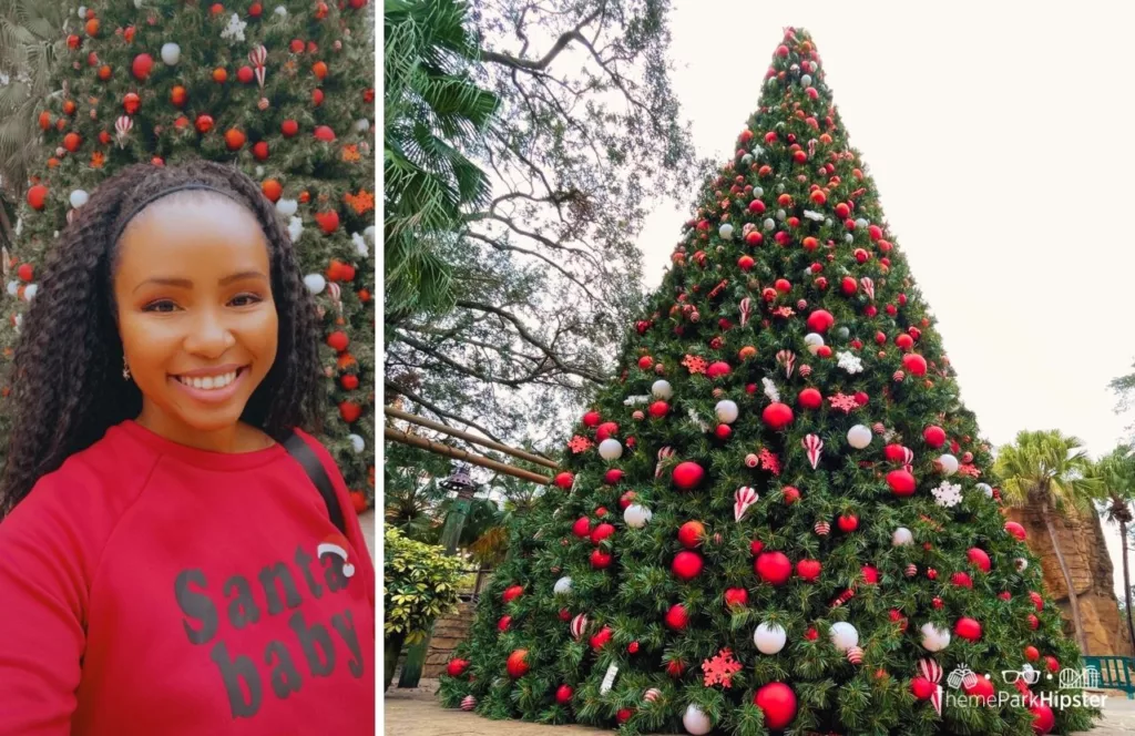 2023 Busch Gardens Tampa Bay Christmas Town NikkyJ and holiday tree