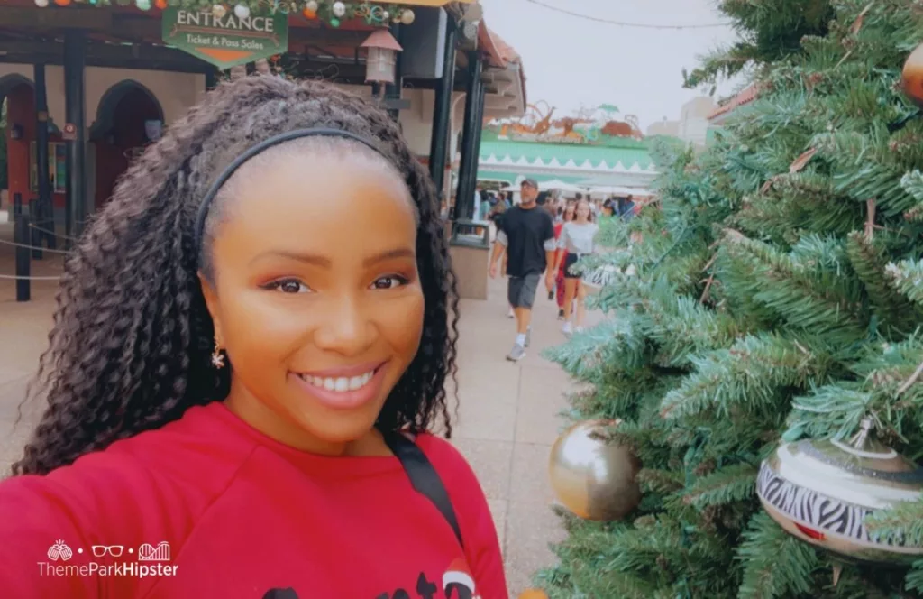Busch Gardens Tampa Bay Christmas Town Tree with NikkyJ. Going to Busch Gardens alone doesn't have to be scary. Keep reading for more solo travel tips.