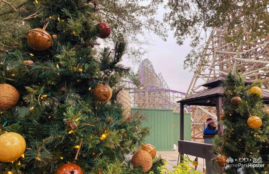 Busch Gardens Tampa Bay Christmas Town with Iron Gwazi in the background
