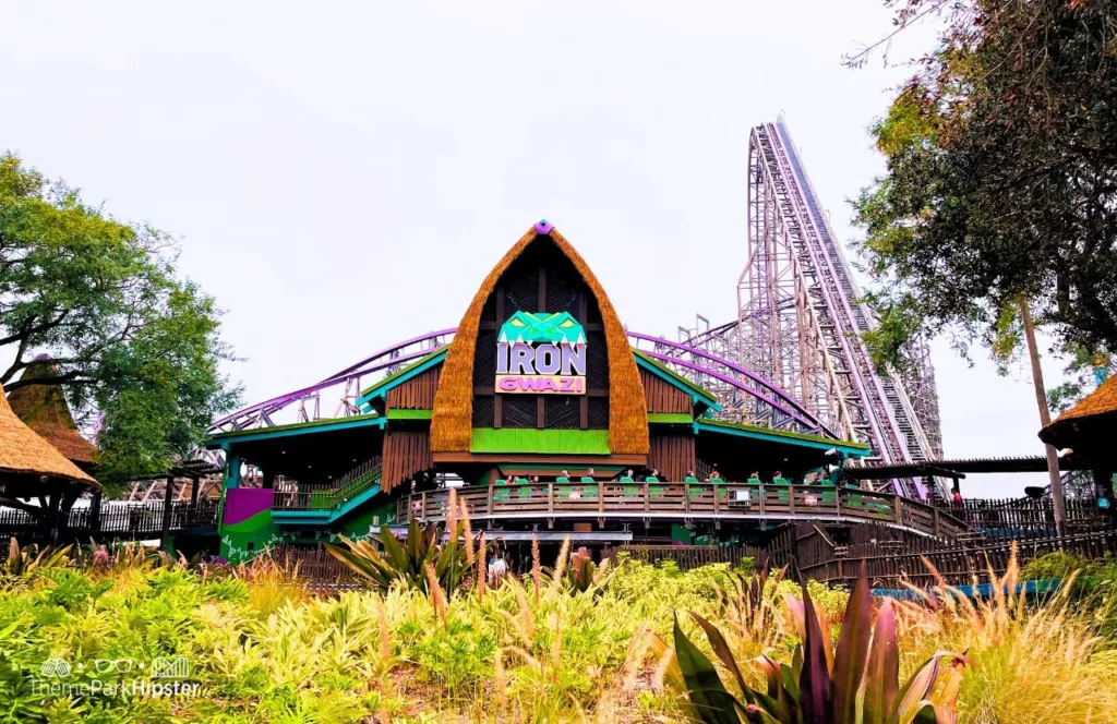 Busch Gardens Tampa Bay Iron Gwazi Roller Coaster