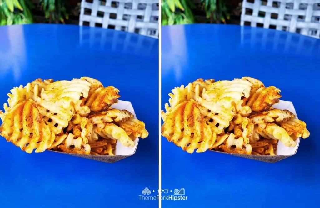 Busch Gardens Tampa Bay Zagora Cafe Food Seasoned Fries. Keep reading for more tips on the Busch Gardens Tampa All Day Dining Deal.