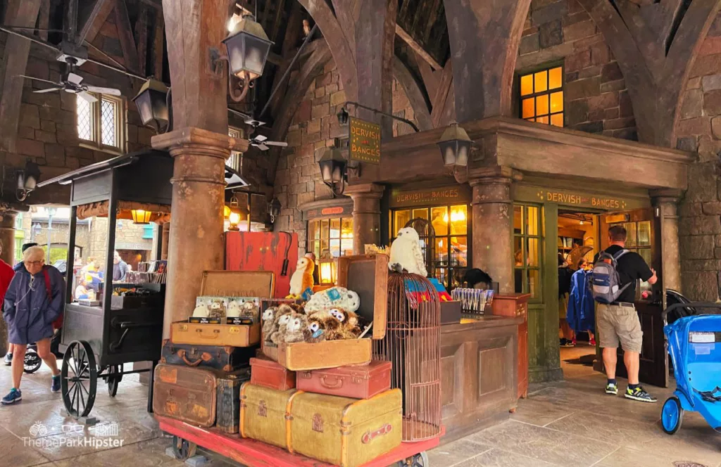 Universal Orlando Resort Dervish and Banges Shop under the Owlery in Wizarding World of Harry Potter Hogsmeade. Keep reading to get the best things to do at Universal Islands of Adventure on a solo trip.