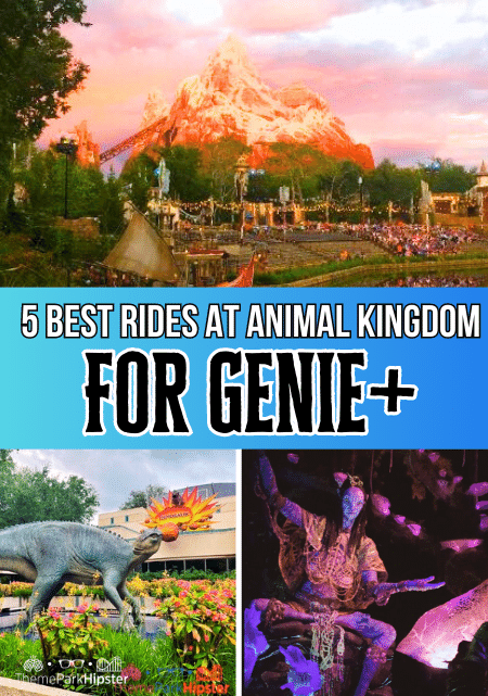 Travel Guide to the 5 Best Rides at Animal Kingdom