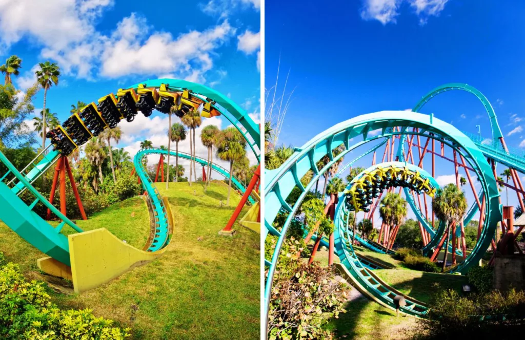 Double photo of Kumba roller coaster at Busch Gardens Tampa. Keep reading to learn more about Busch Gardens Tampa restaurants.