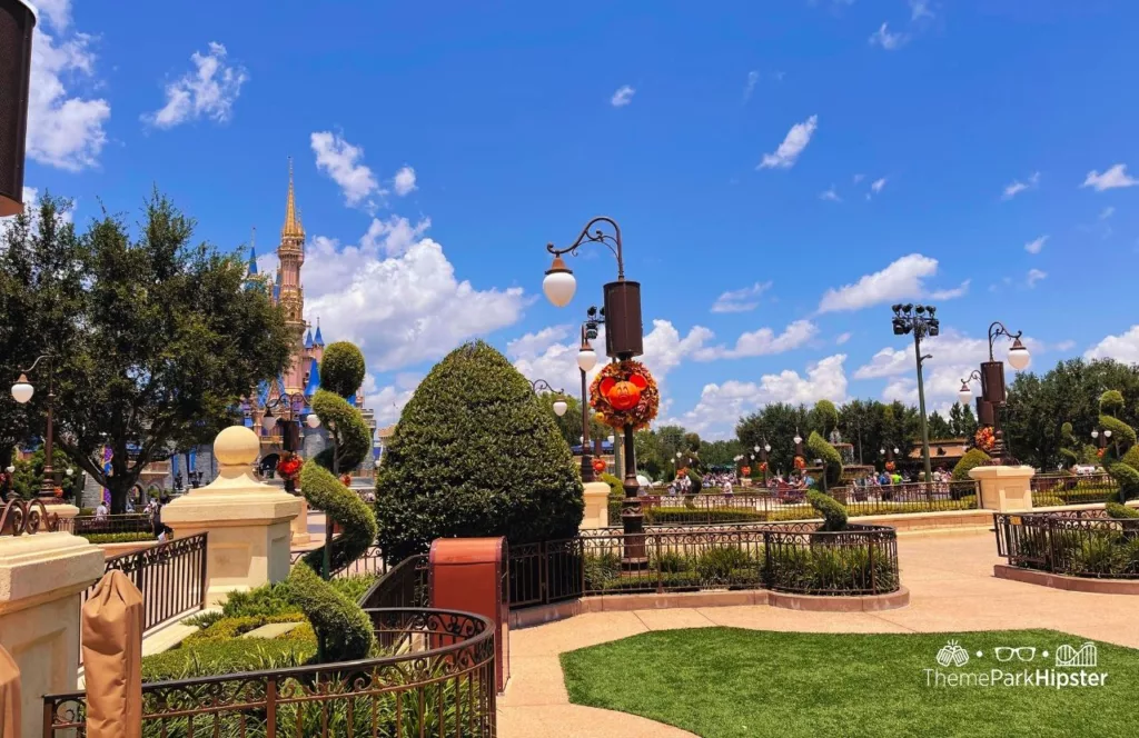 Hub Grass Area for Disney Fireworks Lawn at Magic Kingdom Theme Park