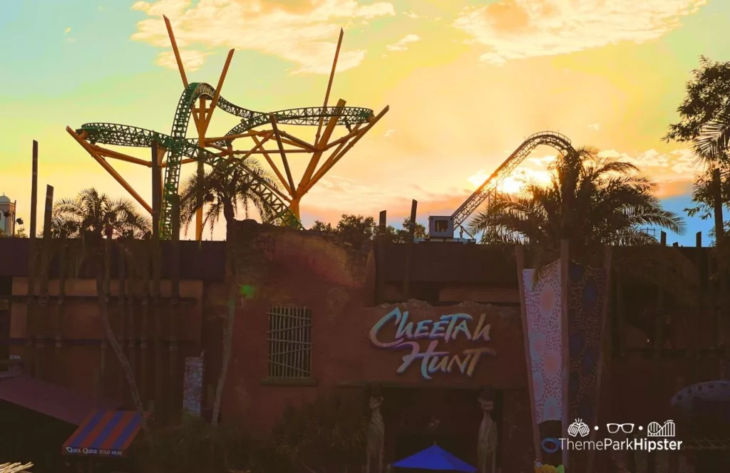 Entrance to Cheetah Hunt Roller Coaster at Busch Gardens Tampa Bay and Skyride