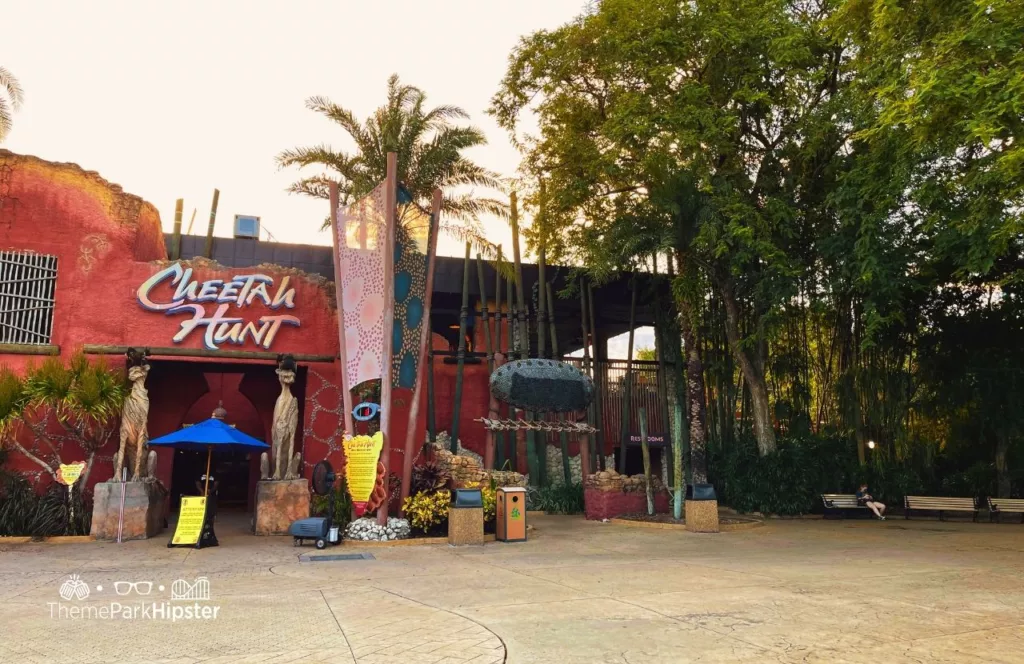 Entrance to Cheetah Hunt Roller Coaster with closed Sky Ride at Busch Gardens Tampa Bay