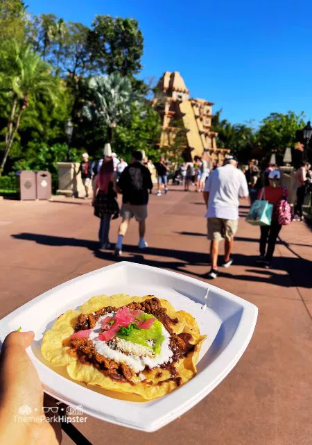 Mexico Pavilion beef and tortilla at the Mexican Restaurant in Epcot.