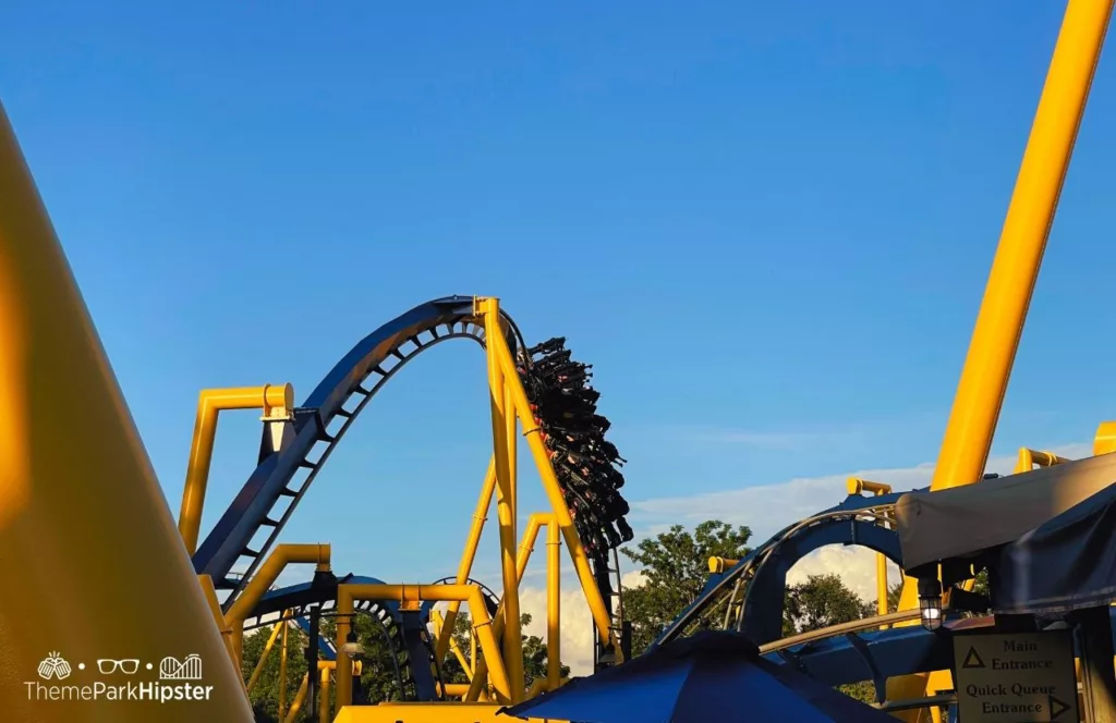 Montu Inverted Roller Coaster at Busch Gardens Tampa Bay