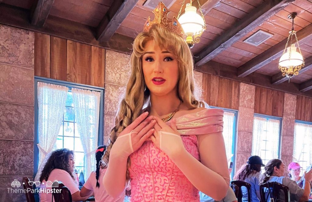 Epcot Theme Park Disney World Akershus Royal Banquet Hall Restaurant in Norway Pavilion Sleeping Beauty Princess Aurora. Keep reading to learn how to prevent jet lag at Disney World in Orlando, Florida.