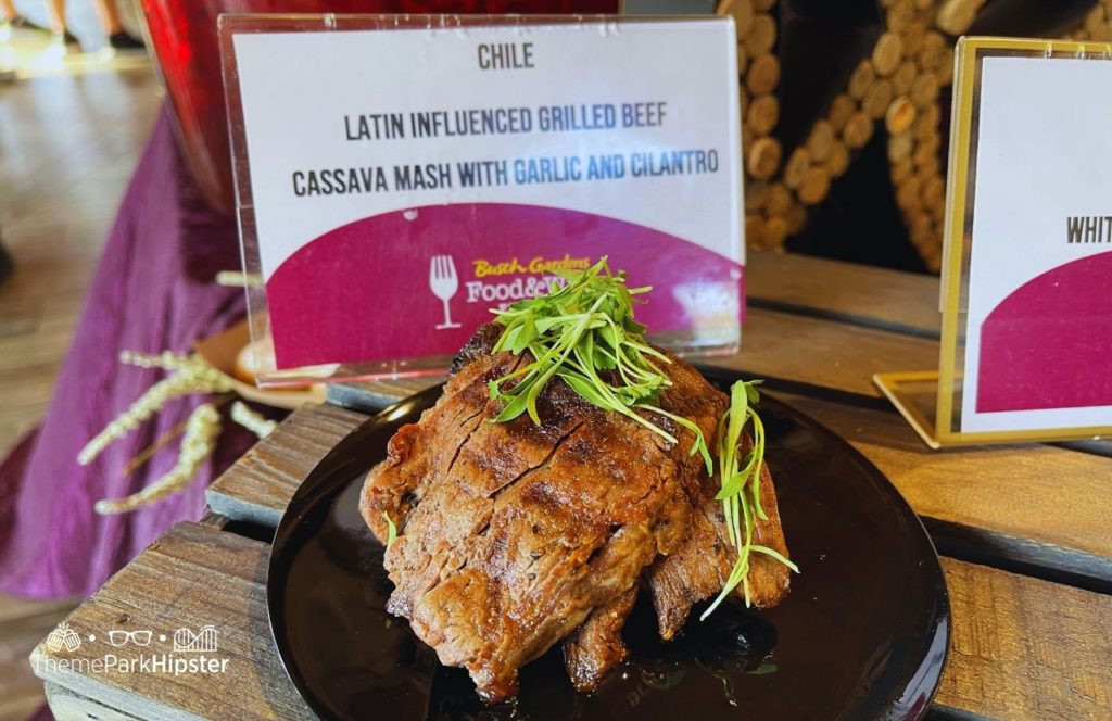 Busch Gardens Tampa 2024 Food and Wine Festival Grilled Beef Chile