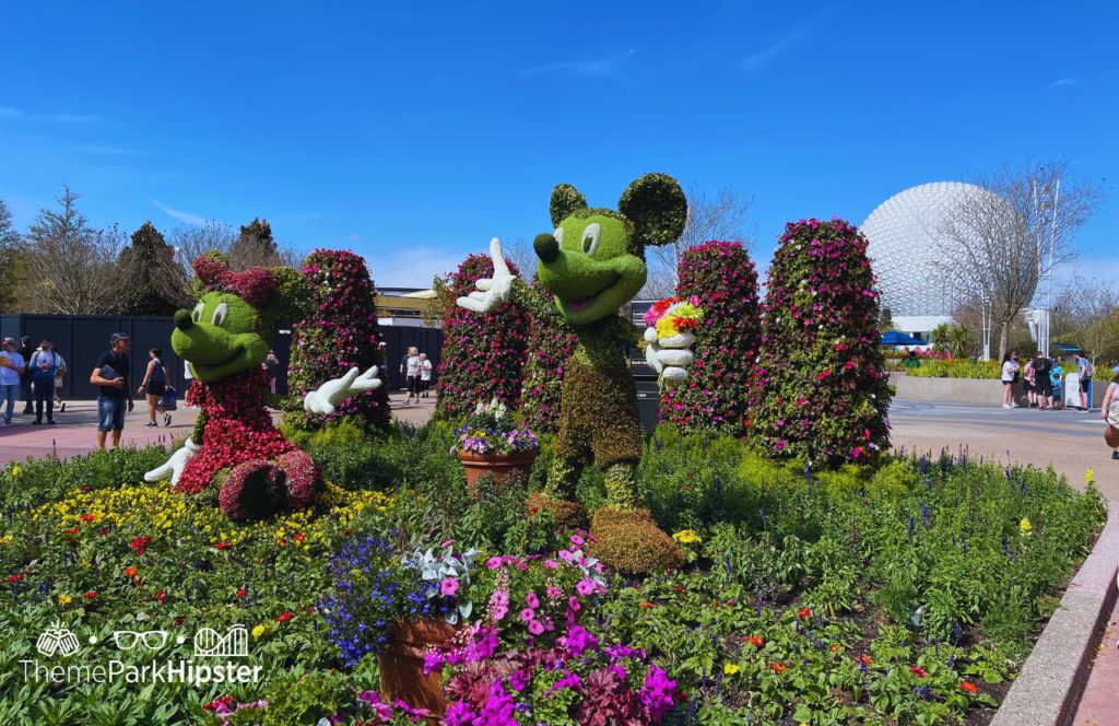 Pluto Mickey and Minnie Mouse Topiary Epcot Flower and Garden Festival 2024 at Disney World