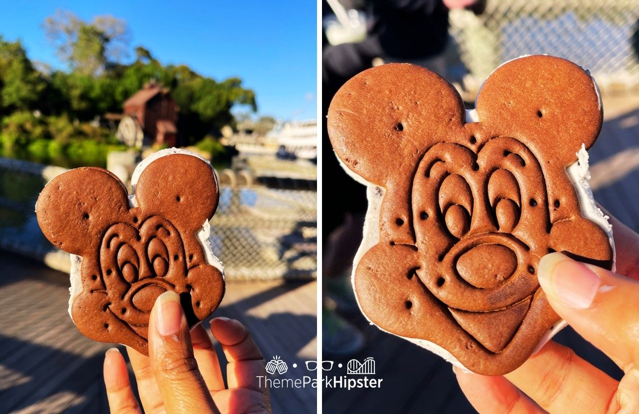 Disney Magic Kingdom Park Mickey Mouse Ice Cream Sandwich Snack and Dessert