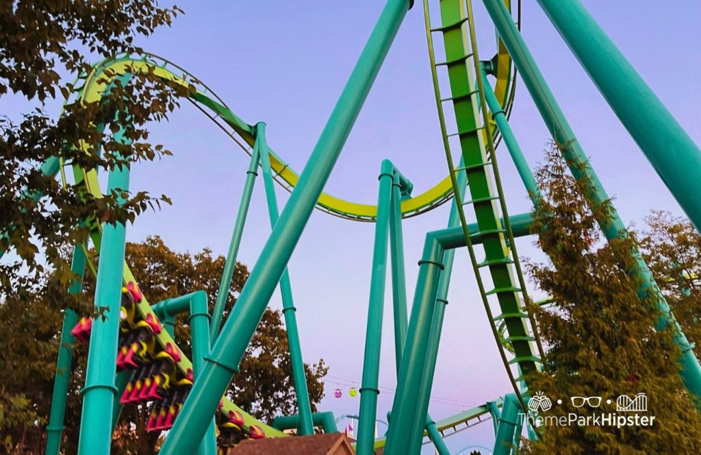 Cedar Point Ohio Amusement Park Raptor Roller Coaster