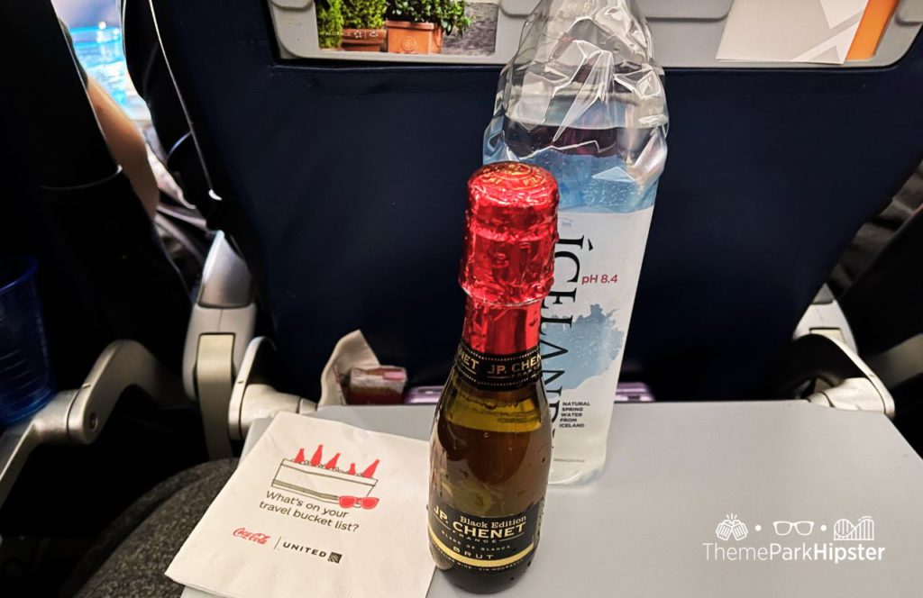 Orlando Airport White Wine and Water on United Airlines Flight. Keep reading to learn how to find cheap flights to Disney World.