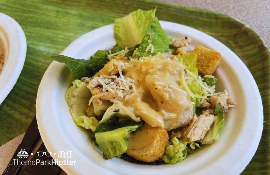 Chicken Caesar Salad Lunch at Laguna Grill Discovery Cove All Inclusive Water Park at SeaWorld Orlando. Keep reading to find out more about Discovery Cove at SeaWorld Orlando.