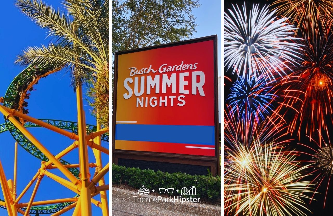 Fireworks and Cheetah Hunt at Summer Nights at Busch Gardens Tampa