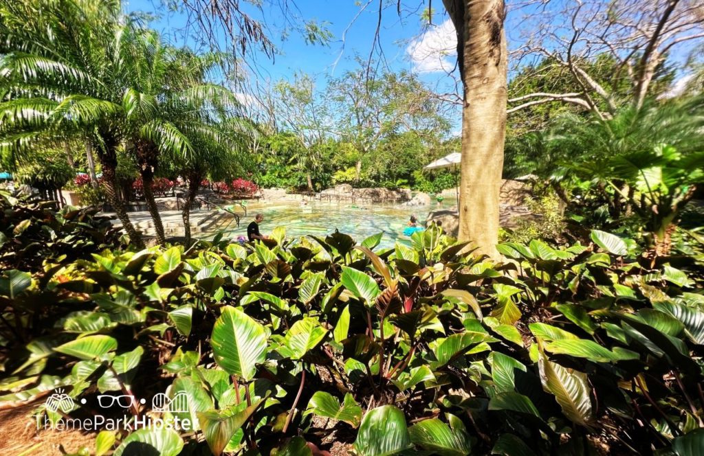 Relaxing lagoon Discovery Cove All Inclusive Water Park at SeaWorld Orlando. Keep reading to find out more about Discovery Cove All Inclusive Water Park at SeaWorld Orlando.