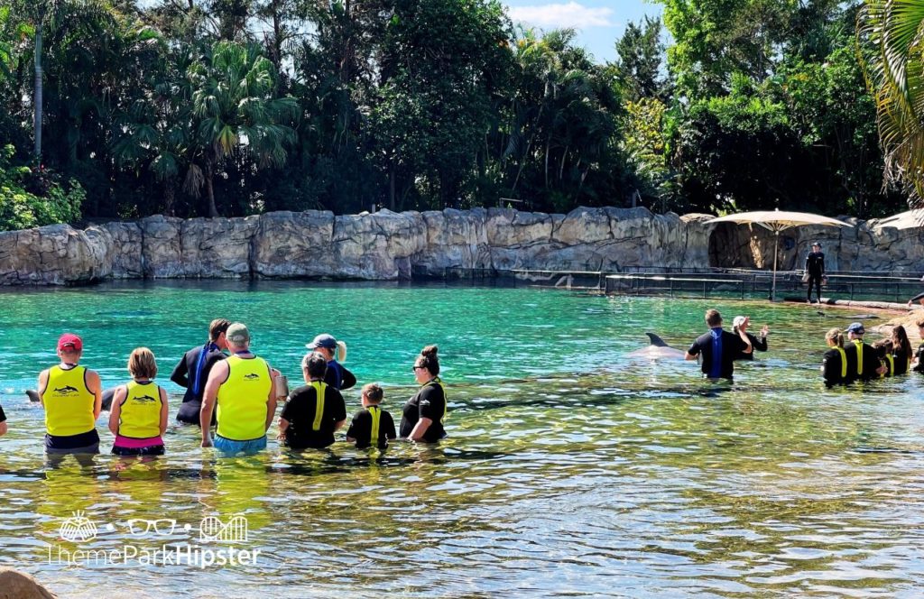 Swimming with Dolphins Discover Cove All Inclusive Water Park at SeaWorld Orlando. Keep reading to find out more about Discovery Cove All Inclusive Water Park at SeaWorld Orlando.