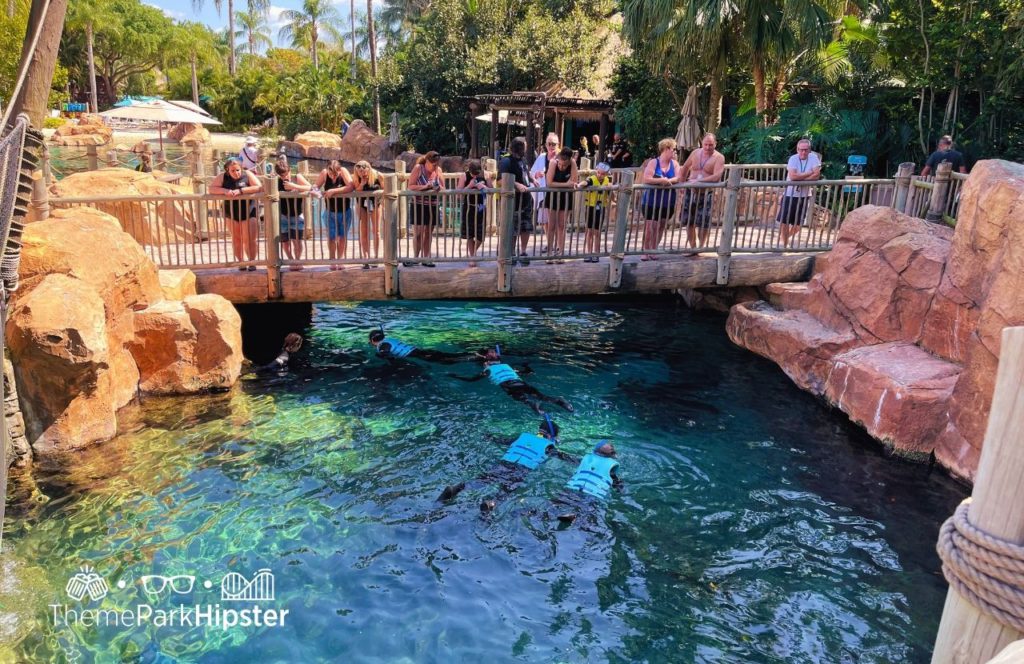 The Grand Reef Snorkeling Discovery Cove All Inclusive Water Park at SeaWorld Orlando. Keep reading to find out all you need to know about Discovery Cove at SeaWorld Orlando.