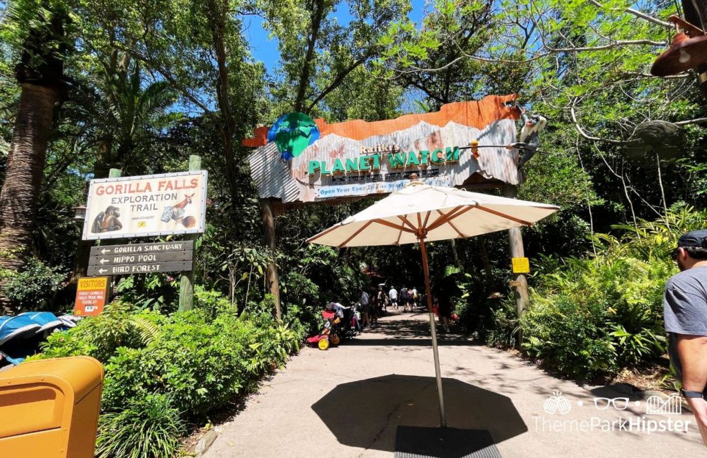 Entrance to Gorilla Falls Exploration Trail and Rafiki's Planet Watch Disney Animal Kingdom Theme Park