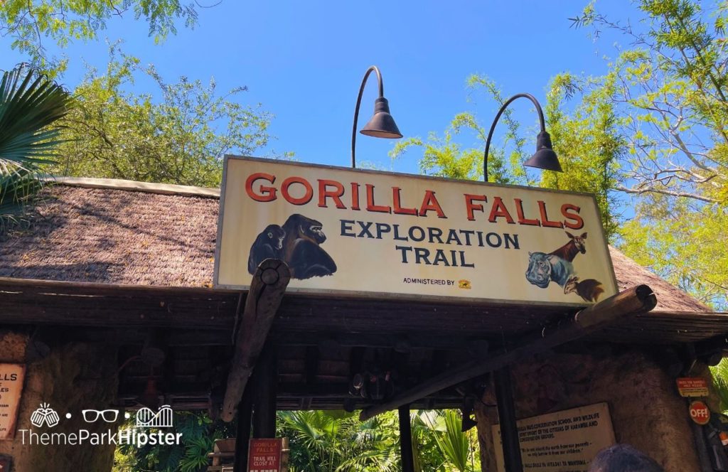 Gorilla Falls Exploration Trail Disney Animal Kingdom Theme Park