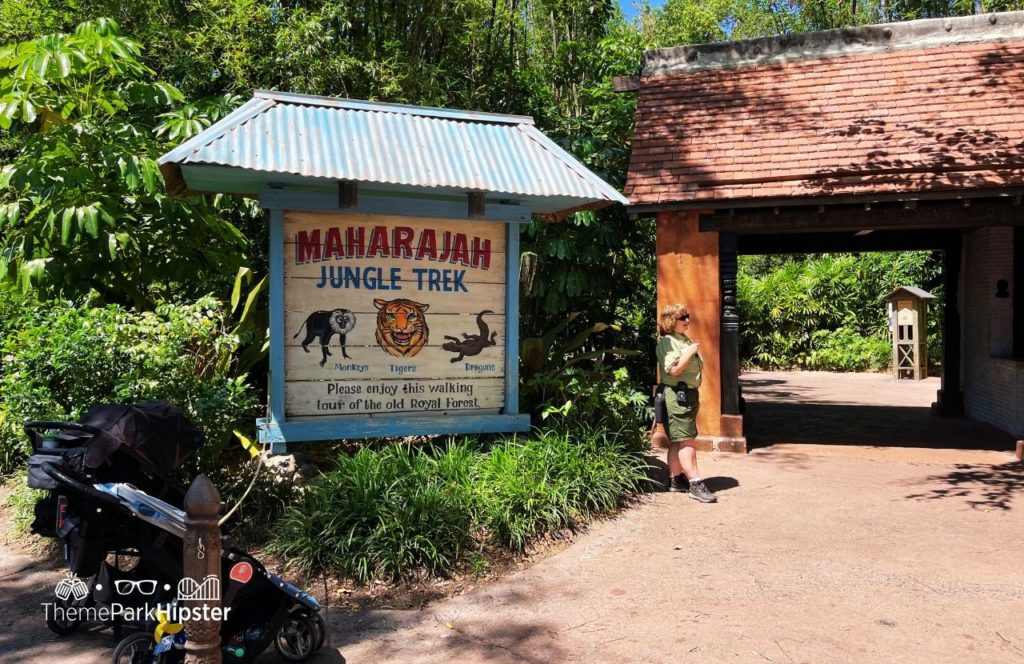Maharajah Jungle trek with monkeys tigers and dragons in Disney Animal Kingdom Theme Park