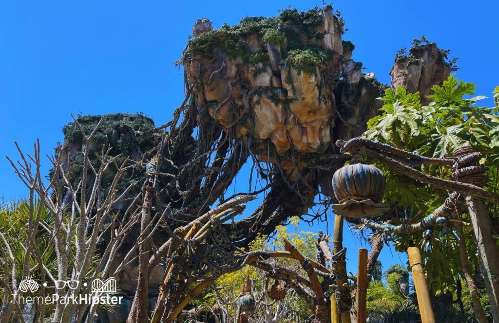 Pandora World of Avatar Disney Animal Kingdom Theme Park. Keep reading to get the full guide on doing Disney alone and having a solo trip to Animal Kingdom.