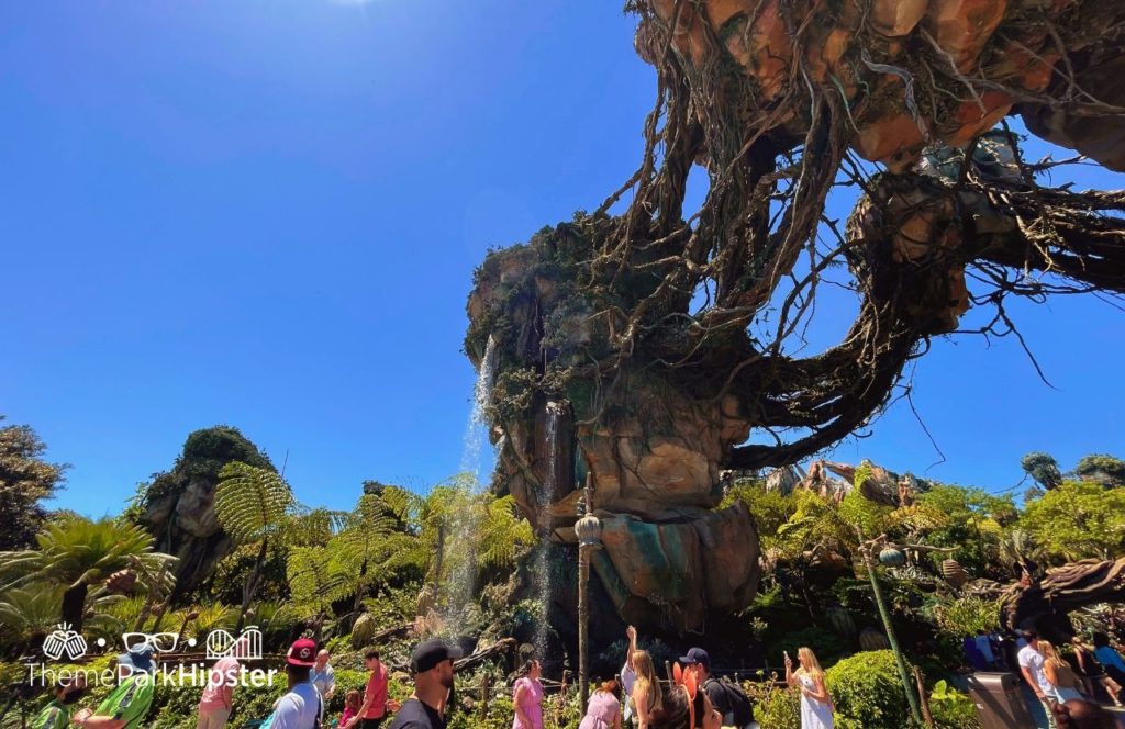 Pandora World of Avatar Disney Animal Kingdom Theme Park