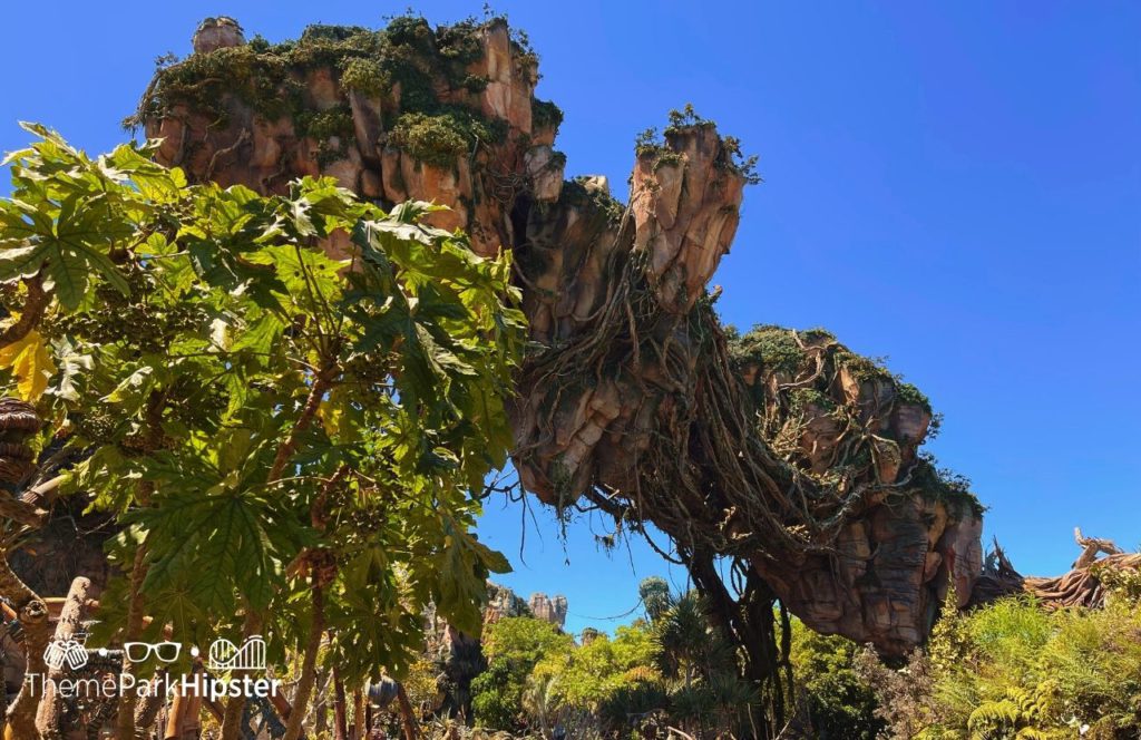 Pandora World of Avatar Disney Animal Kingdom Theme Park. Keep reading to get the best secrets of Animal Kingdom.