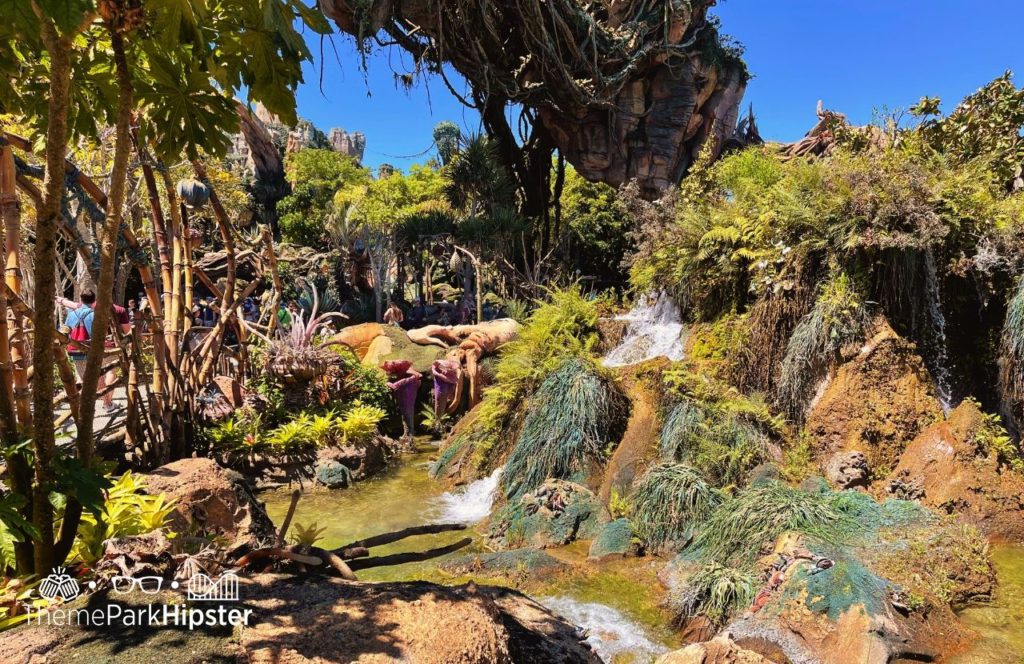 Pandora World of Avatar Disney Animal Kingdom Theme Park