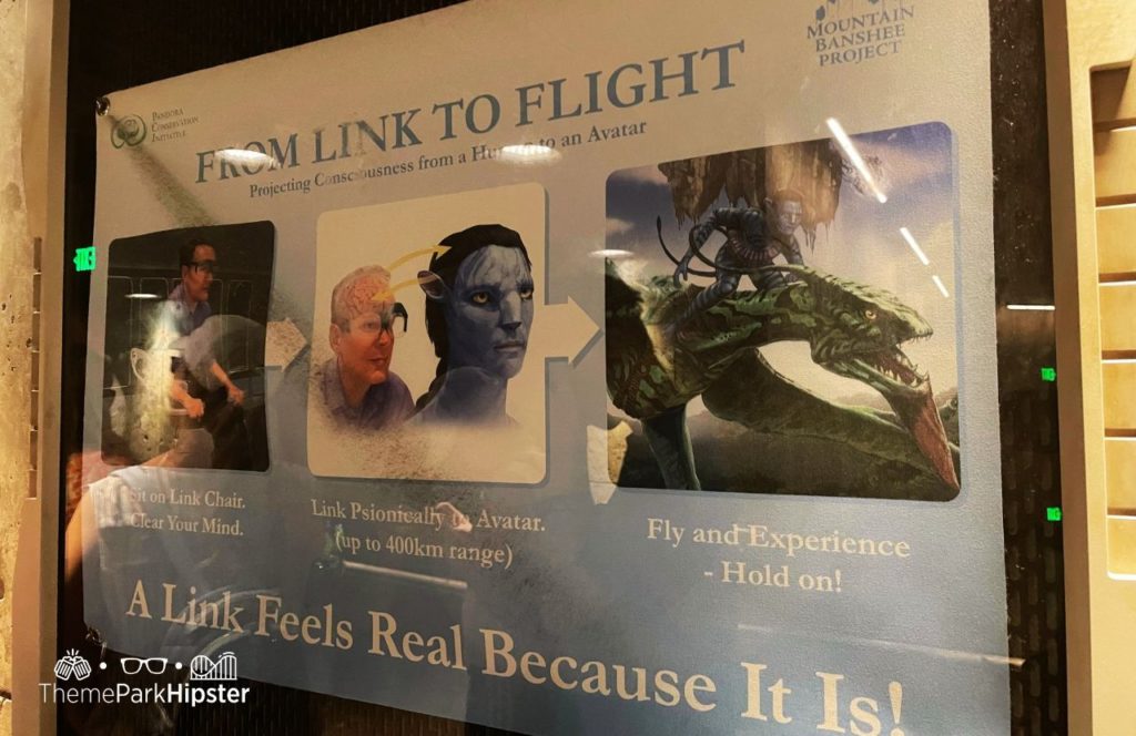 Pandora World of Avatar Flight of Passage Disney Animal Kingdom Theme Park