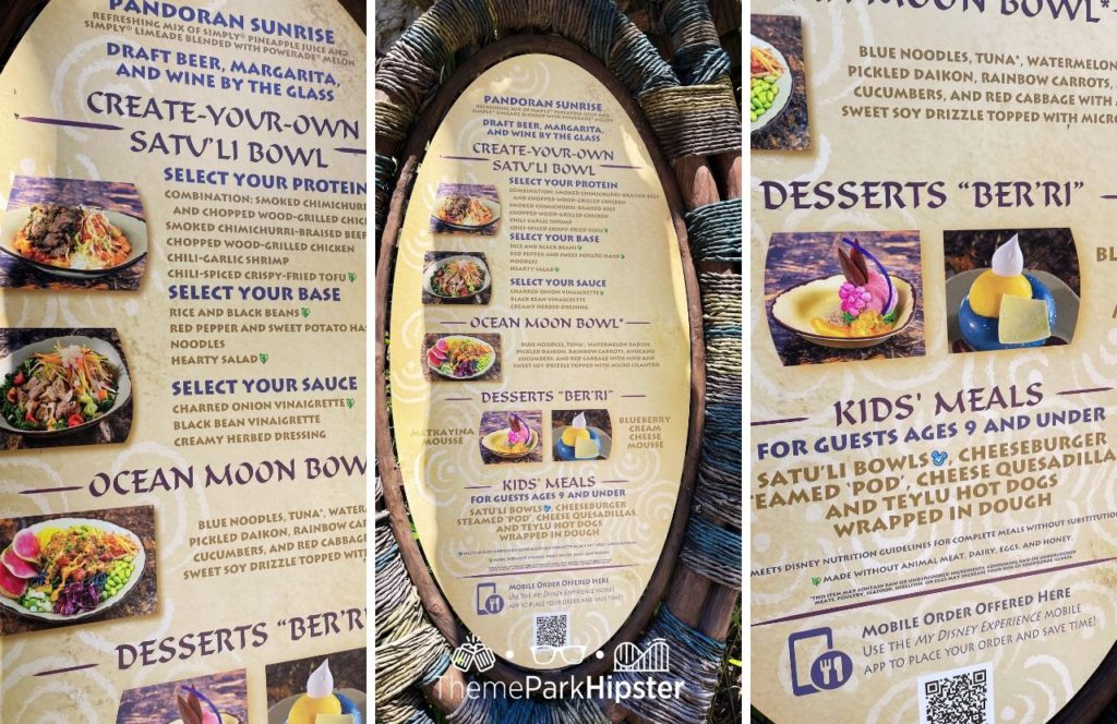 Pandora World of Avatar Satuli Bowl Menu Disney Animal Kingdom Theme Park