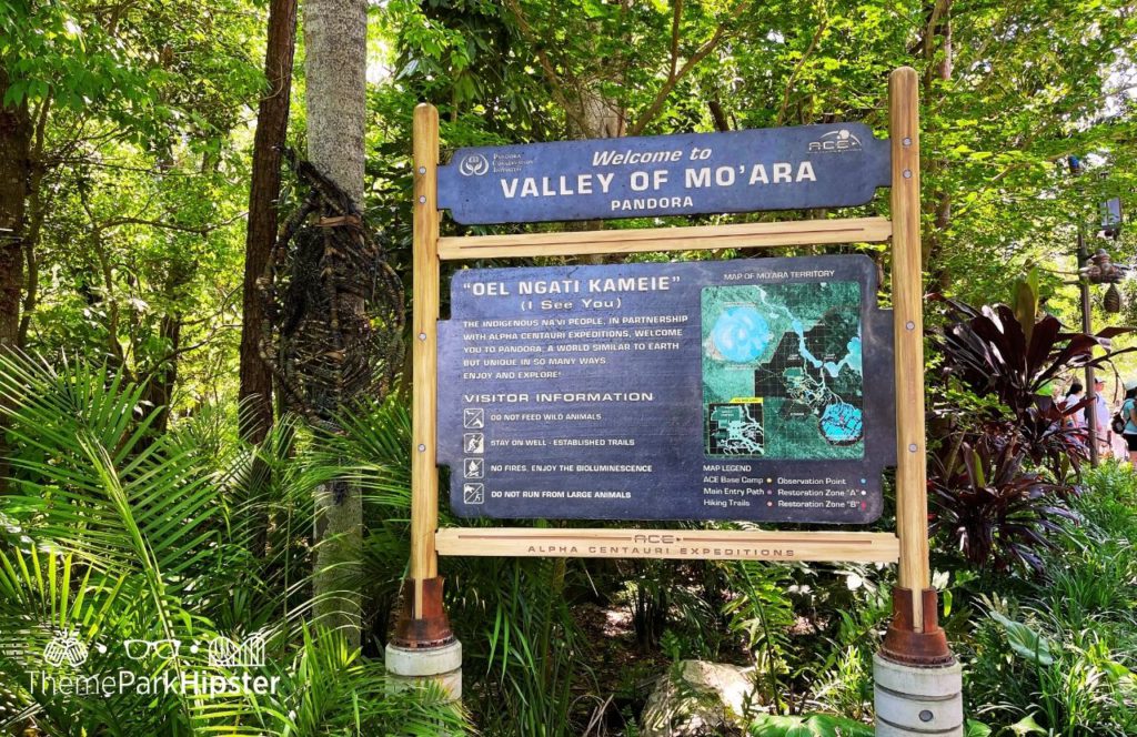 Pandora World of Avatar Valley of Moara Disney Animal Kingdom Theme Park