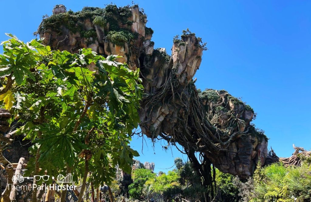 Pandora World of Avatar floating mountains Disney Animal Kingdom Theme Park. Keep reading to get the full guide on doing Disney alone and having a solo trip to Animal Kingdom.