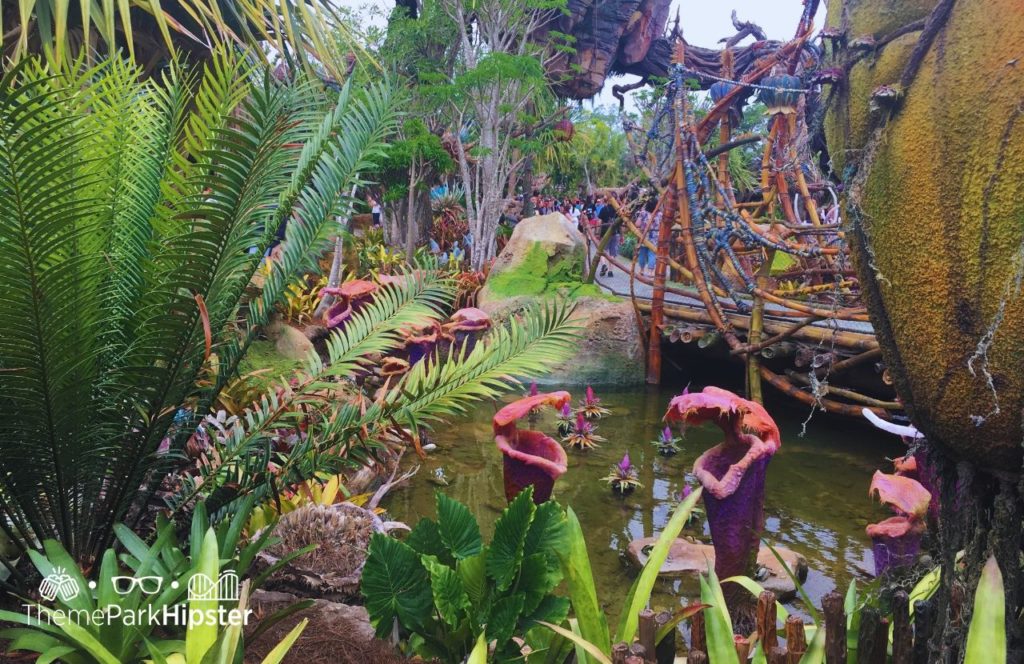 Pandora World of Avatar on a Cloudy Rainy Day Disney Animal Kingdom Theme Park