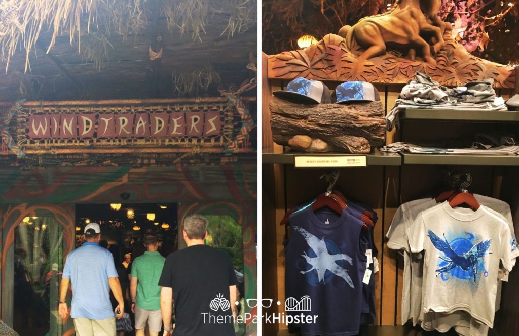 Pandora World of Avatar on a Cloudy Rainy Day Wind Traders Store Merchandise Disney Animal Kingdom Theme Park