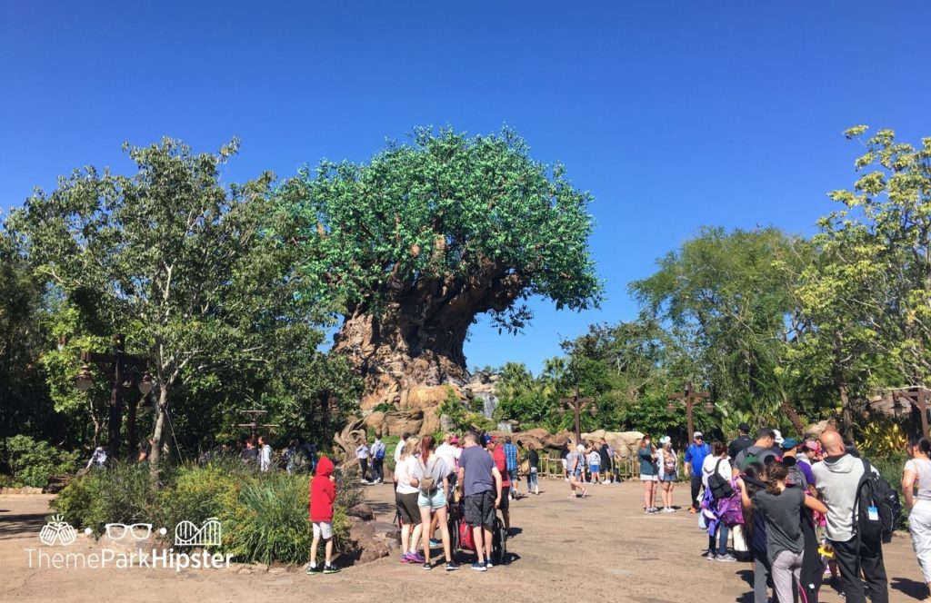 Tree of Life Disney Animal Kingdom Theme Park