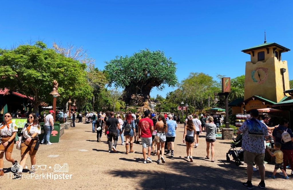 Tree of Life Disney Animal Kingdom Theme Park. Keep reading to get the best Animal Kingdom tips.