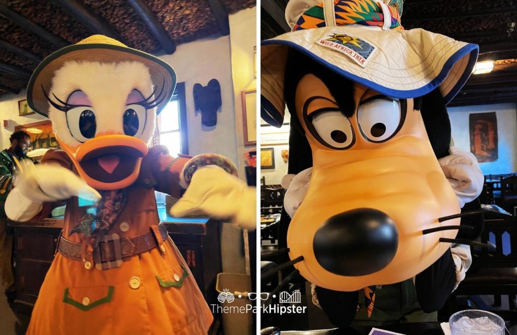 Tusker House Restaurant Buffet Daisy Duck and Goofy Characters Disney Animal Kingdom Theme Park. Keep reading to get the full guide on doing Disney alone and having a solo trip to Animal Kingdom.