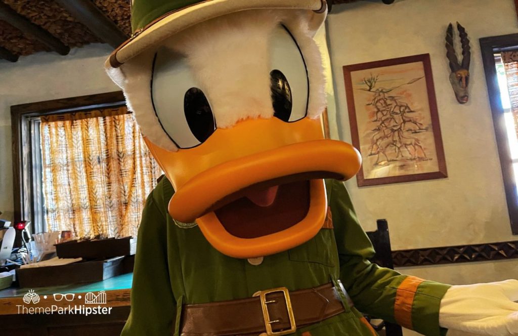 Tusker House Restaurant Buffet Donald Duck Character Disney Animal Kingdom Theme Park