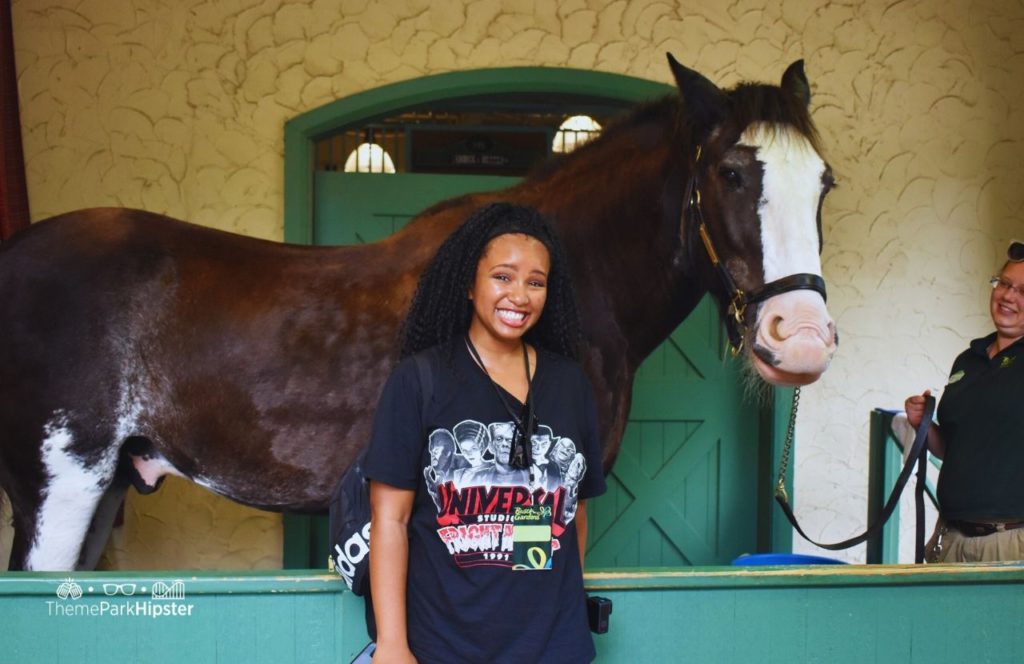 NikkyJ Upclose to Clydesdale Horse on VIP Tour at Busch Gardens Williamsburg, Virginia. Keep reading to find out all you need to know about parking at Busch Gardens Williamsburg in Virginia.